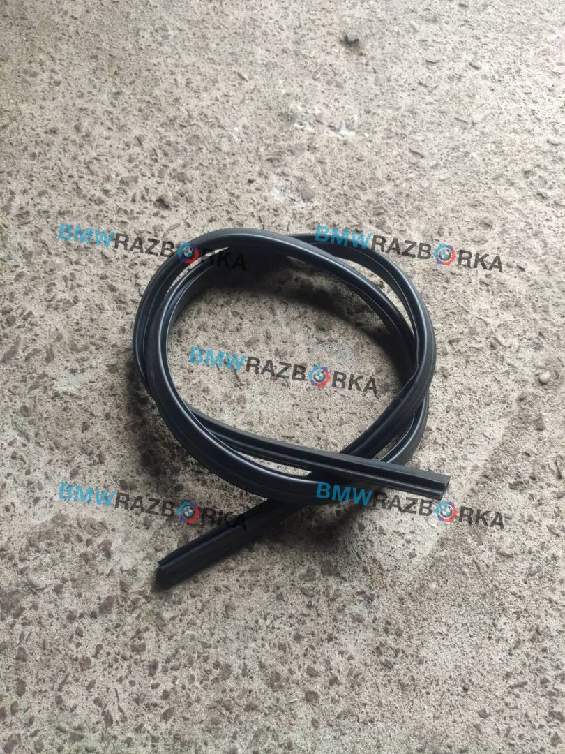 уплотнитель подкапотного пространства BMW X6 F16 2018, 4.0 л., дизель, АКПП, внедорожник 5 дв., полный привод, 7294489