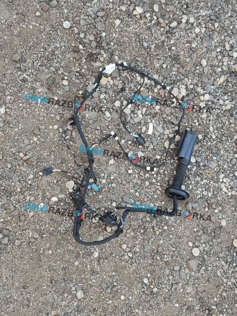 дверная проводка BMW X6 F16 2019, 3.5 л., бензин, АКПП, внедорожник 5 дв., 9365808, 9364908