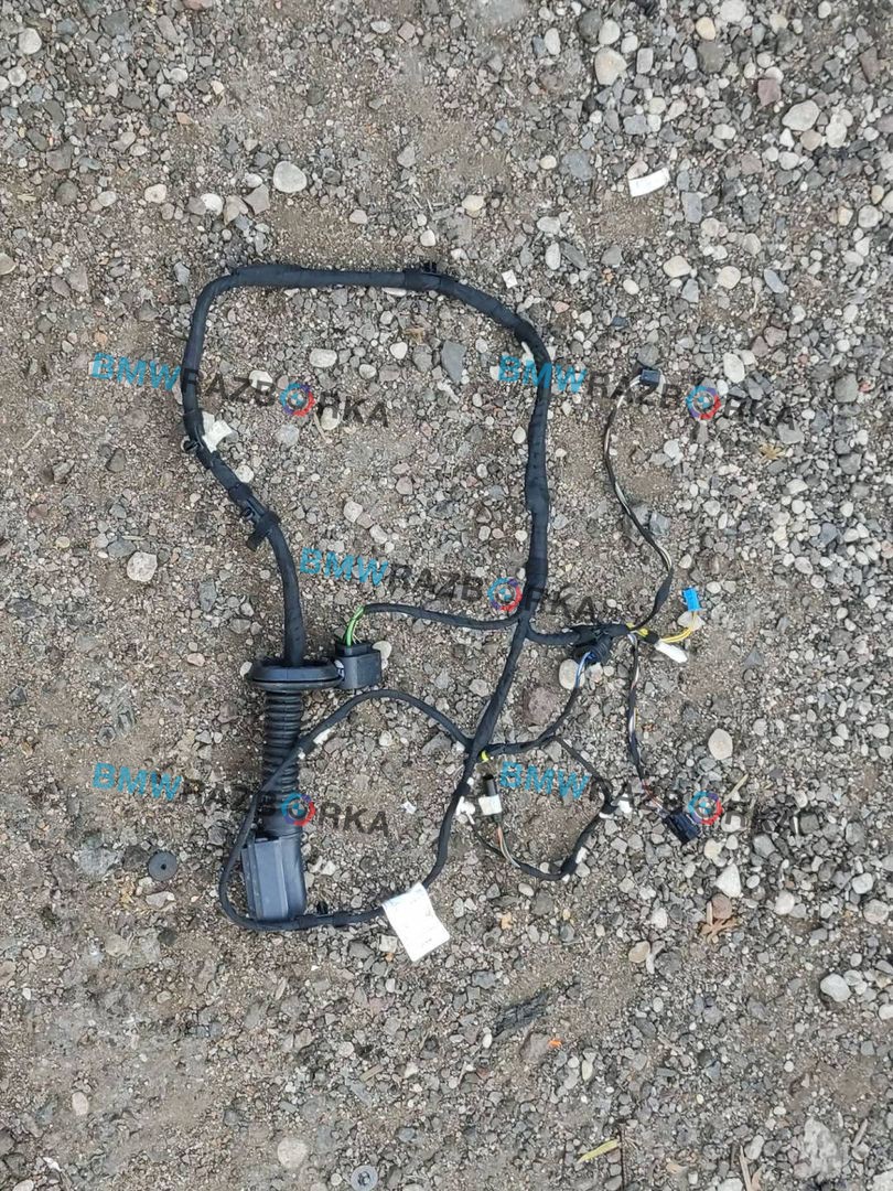 дверная проводка BMW X6 F16 2019, 3.5 л., бензин, АКПП, внедорожник 5 дв., 9365829, 9364911