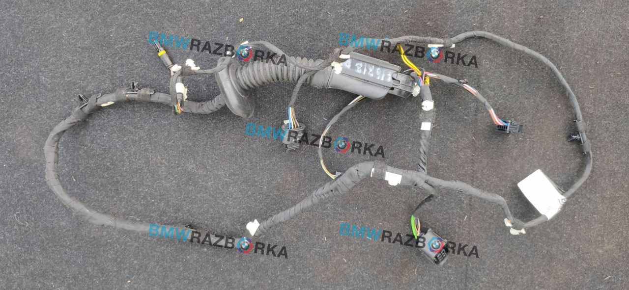 дверная проводка BMW X6 F16 2019, 3.5 л., бензин, АКПП, внедорожник 5 дв., 9365829, 9364911