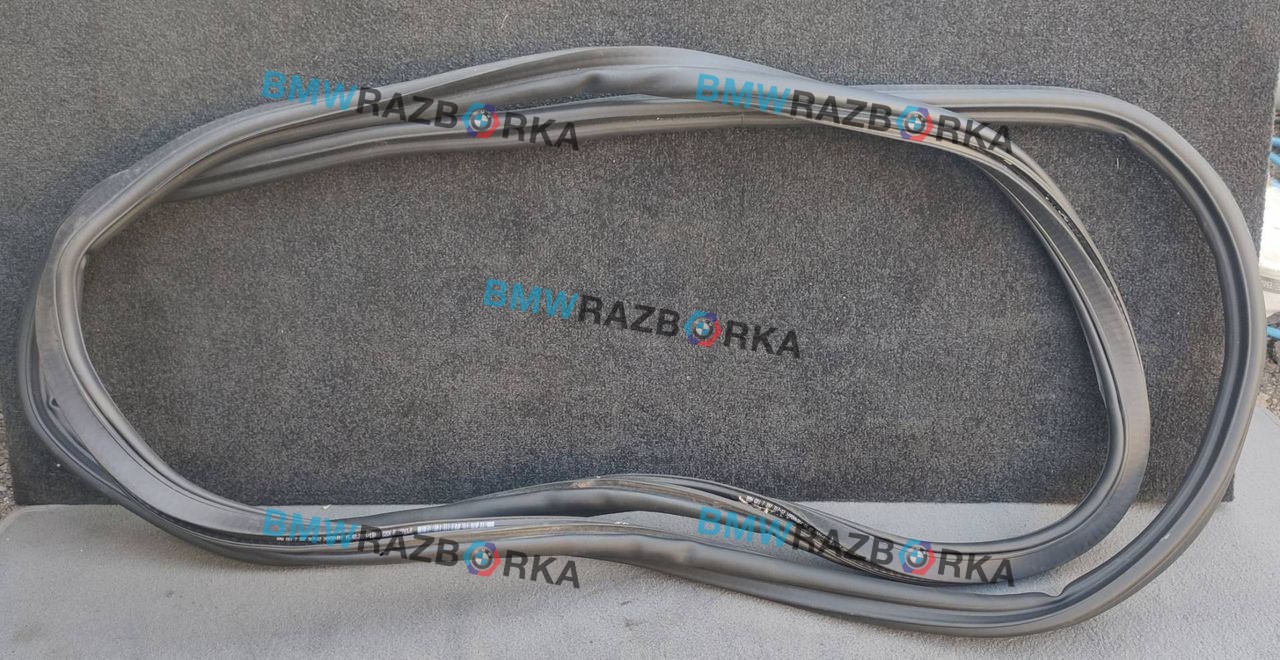 уплотнитель BMW X3 G01 2021, 2.0 л., B48 B20 A, бензин, АКПП, внедорожник 5 дв., 7397317