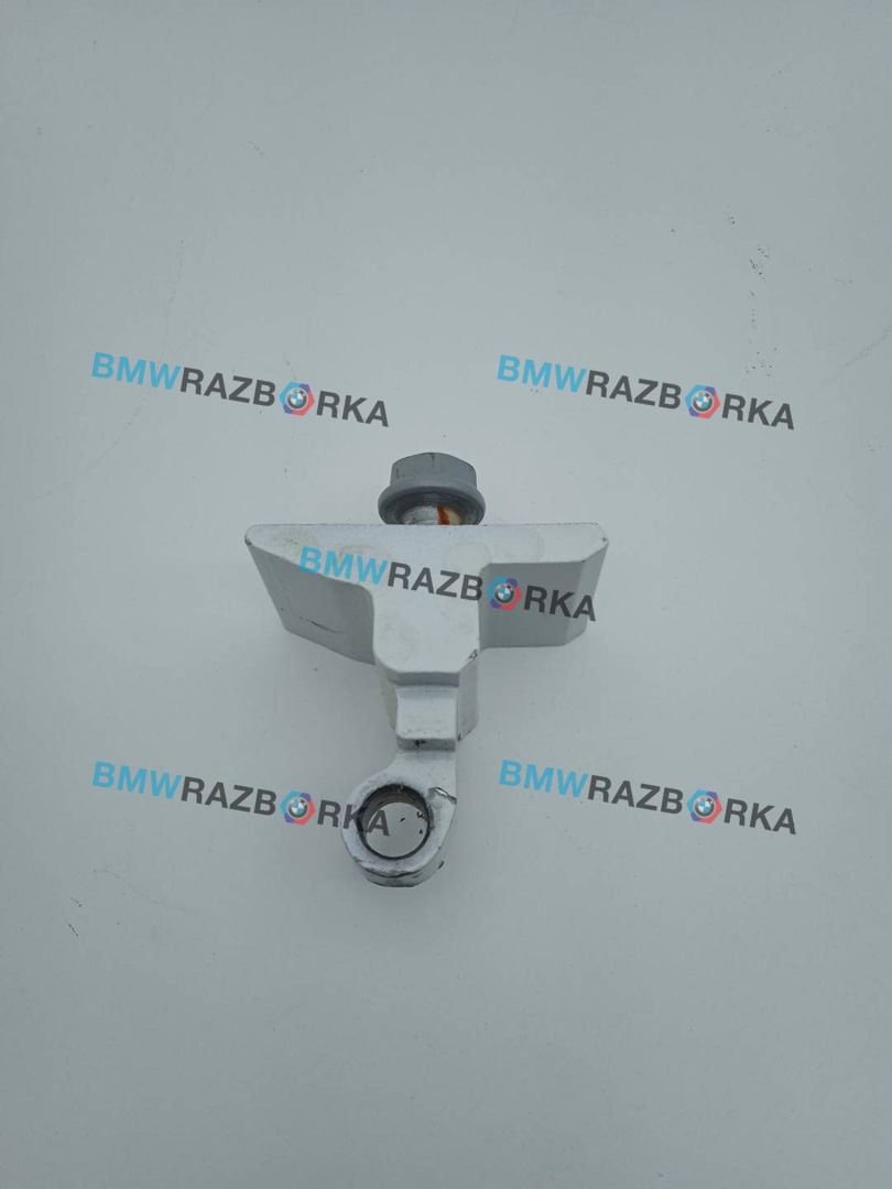 петля двери BMW X6 F16 2018, 4.0 л., дизель, АКПП, внедорожник 5 дв., полный привод, 7160823