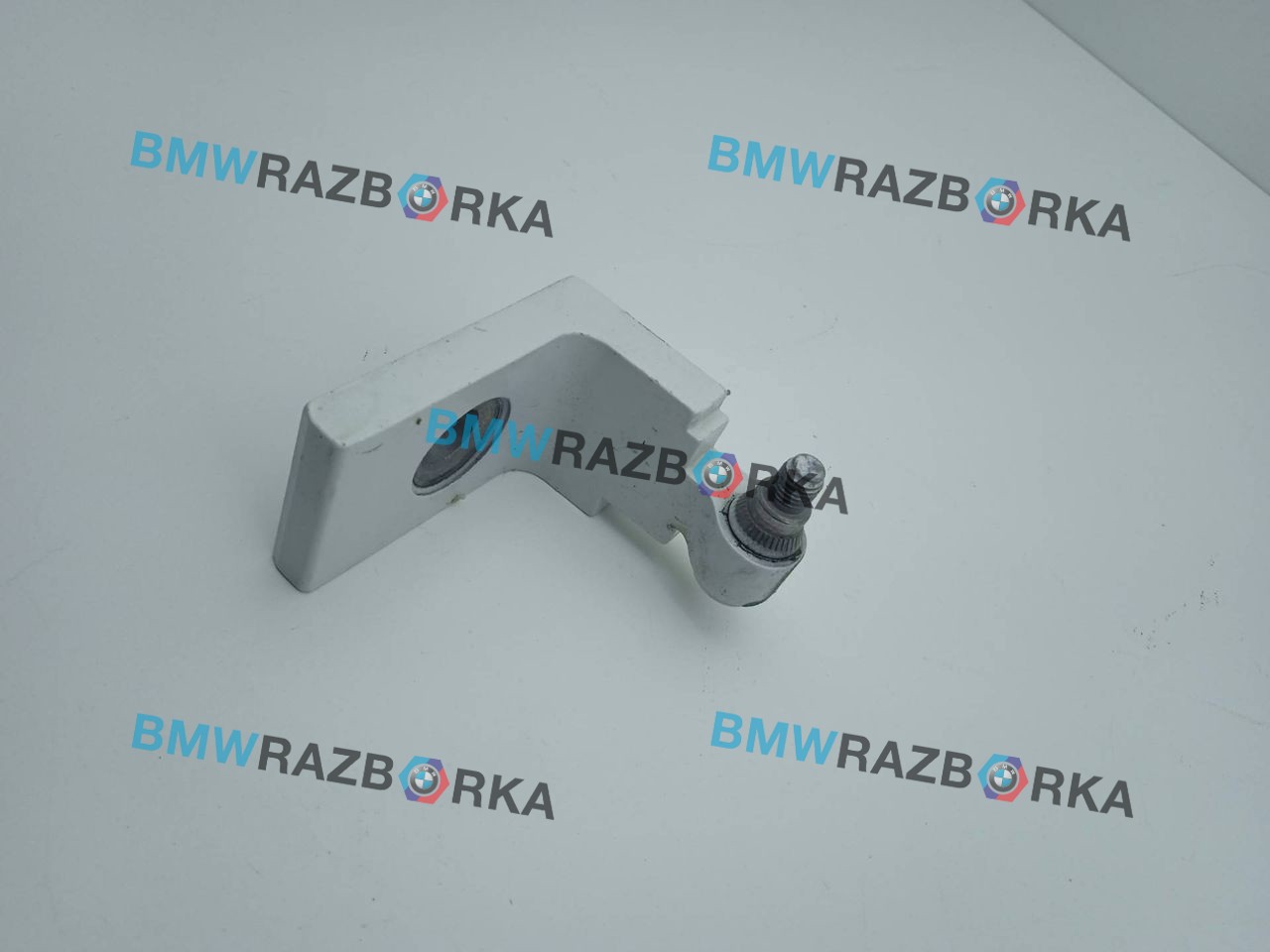 петля двери BMW X6 F16 2018, 4.0 л., дизель, АКПП, внедорожник 5 дв., полный привод, 7325055