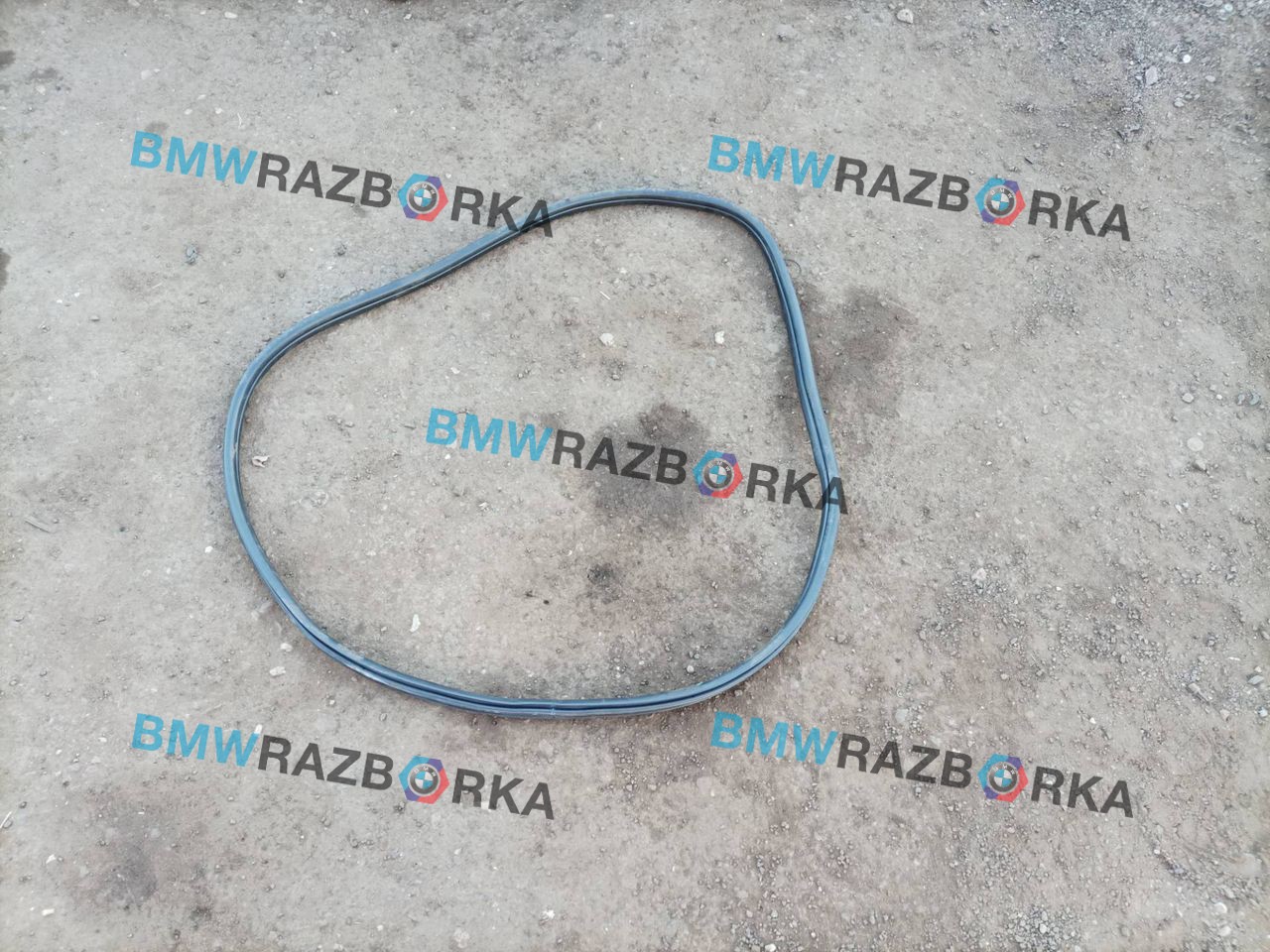 уплотнитель двери BMW X2 F39 2018, 2.0 л., i, B48 A20 A, бензин, АКПП, внедорожник 5 дв., передний привод, 7420803, 7420830