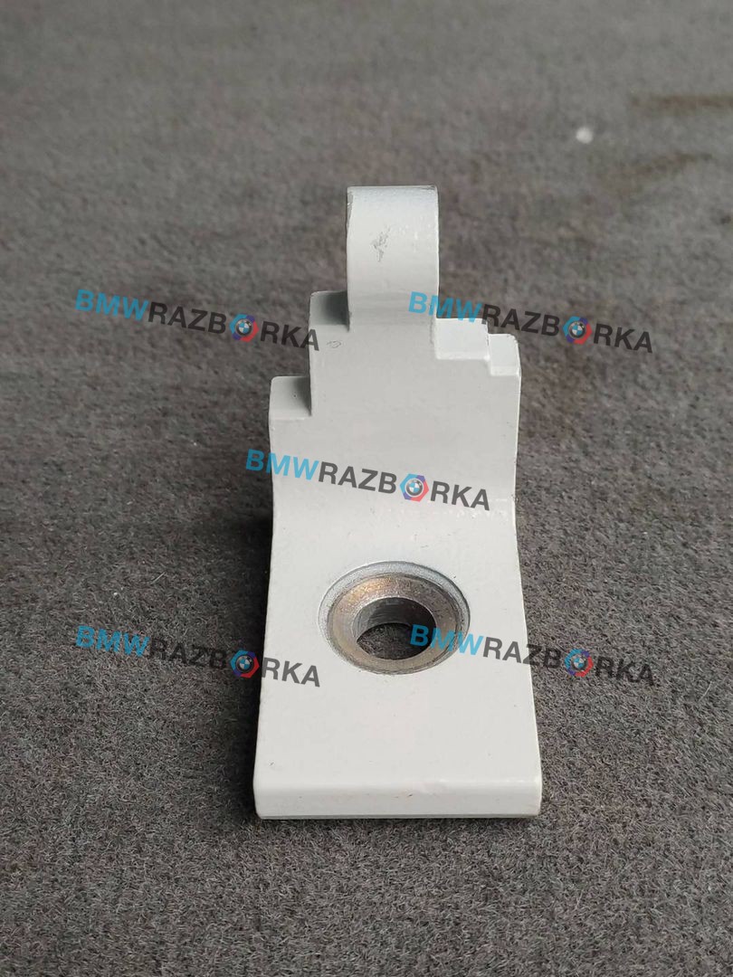 петля двери BMW X6 F16 2018, 4.0 л., дизель, АКПП, внедорожник 5 дв., полный привод, 7304994