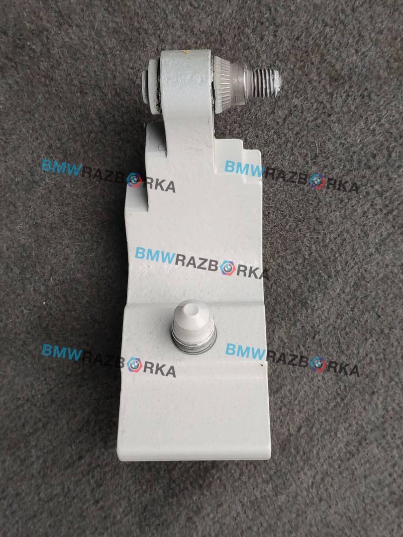петля двери BMW X6 F16 2018, 4.0 л., дизель, АКПП, внедорожник 5 дв., полный привод, 7325054