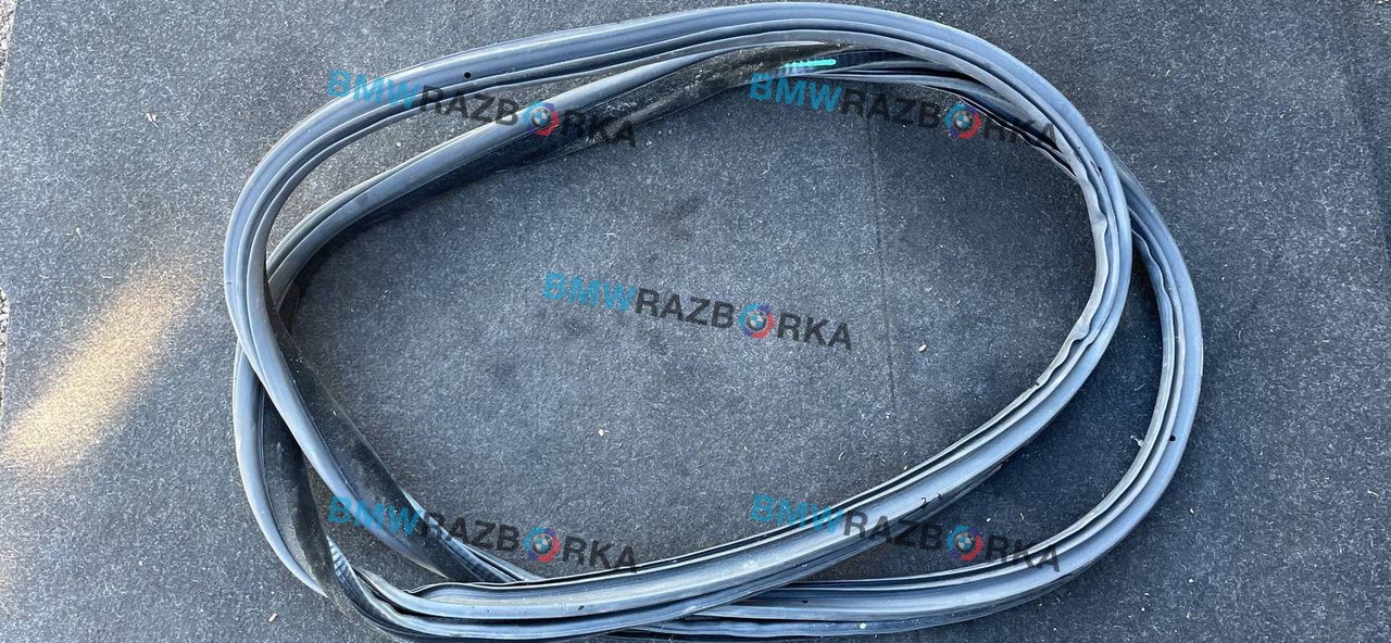 уплотнитель двери BMW 4 серия F32/F33 [рестайлинг] F36 2018, 3.0 л., N57 D30 A, дизель, хетчбэк 5 дв., 7401895