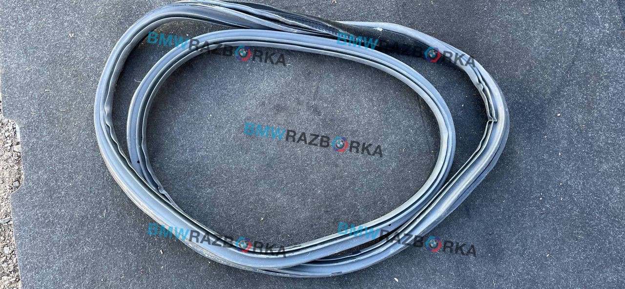 уплотнитель двери BMW 4 серия F32/F33 [рестайлинг] F36 2018, 3.0 л., N57 D30 A, дизель, хетчбэк 5 дв., 7401893