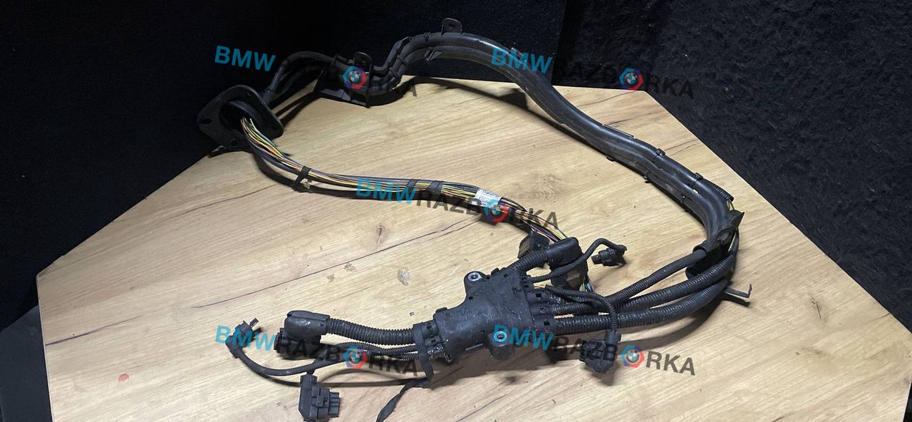 проводка BMW X6 E71/E72 E71 2011, 4.4 л., N63 B44 A, бензин, АКПП, внедорожник 5 дв., 7575579