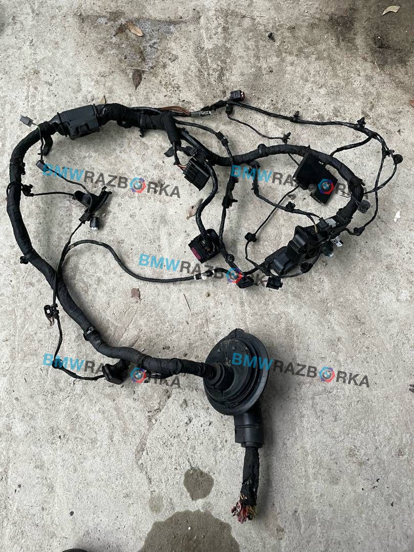 проводка BMW X3 G01 2018, 2.0 л., i, B46 B20 B, бензин, АКПП, 668, внедорожник 5 дв., полный привод