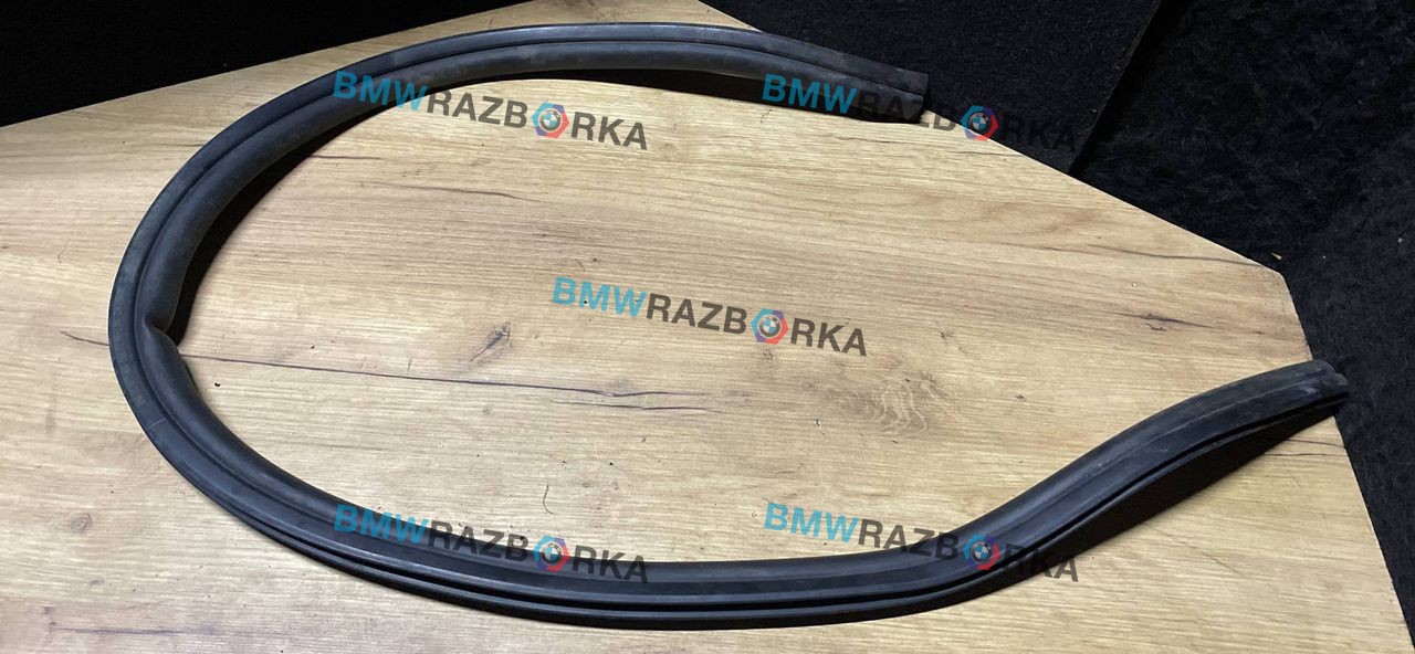 уплотнитель подкапотного пространства BMW 1 серия F40 2020, 1.5 л., i, B38 A15 A, бензин, АКПП, b39, хетчбэк 5 дв., задний привод, правый руль, 7450916