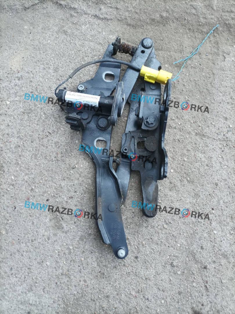 петля капота левая BMW Z4 E89 (2009 - 2016), 2.0 л., i, N20 B20 B, бензин, МКПП, b39 mineral-grau metallic, родстер, задний привод, правый руль, 7285817