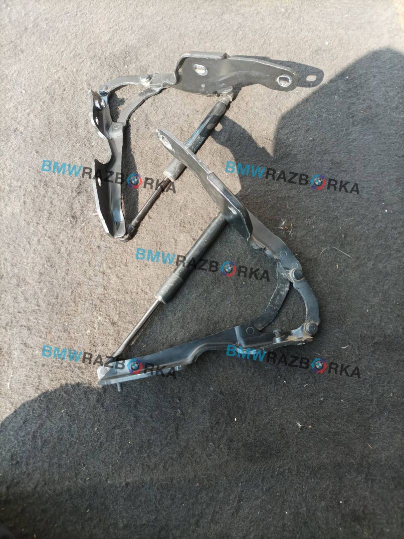 петля крышки багажника BMW Z4 E89 (2009 - 2016), 2.0 л., i, N20 B20 B, бензин, МКПП, b39 mineral-grau metallic, родстер, задний привод, правый руль