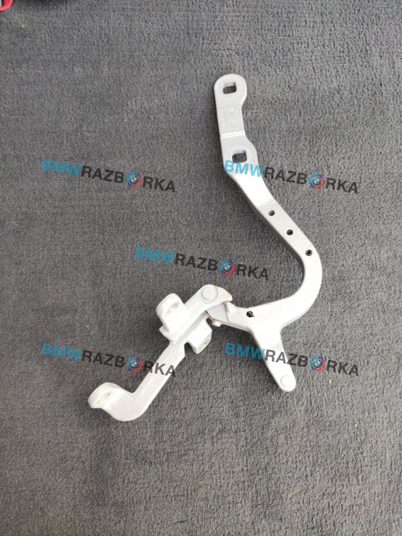 петля крышки багажника BMW X4 M F98 2019, 3.0 л., S58B30A, бензин, АКПП, внедорожник 5 дв., полный привод, правый руль, 7424414