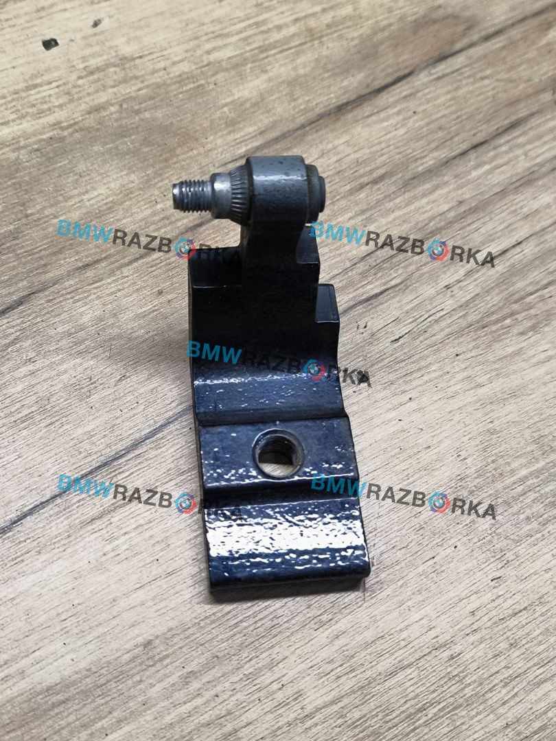 петля двери BMW X5 M E70 2010, 4.4 л., S63 B44 A, бензин, АКПП, внедорожник 5 дв., 7160825