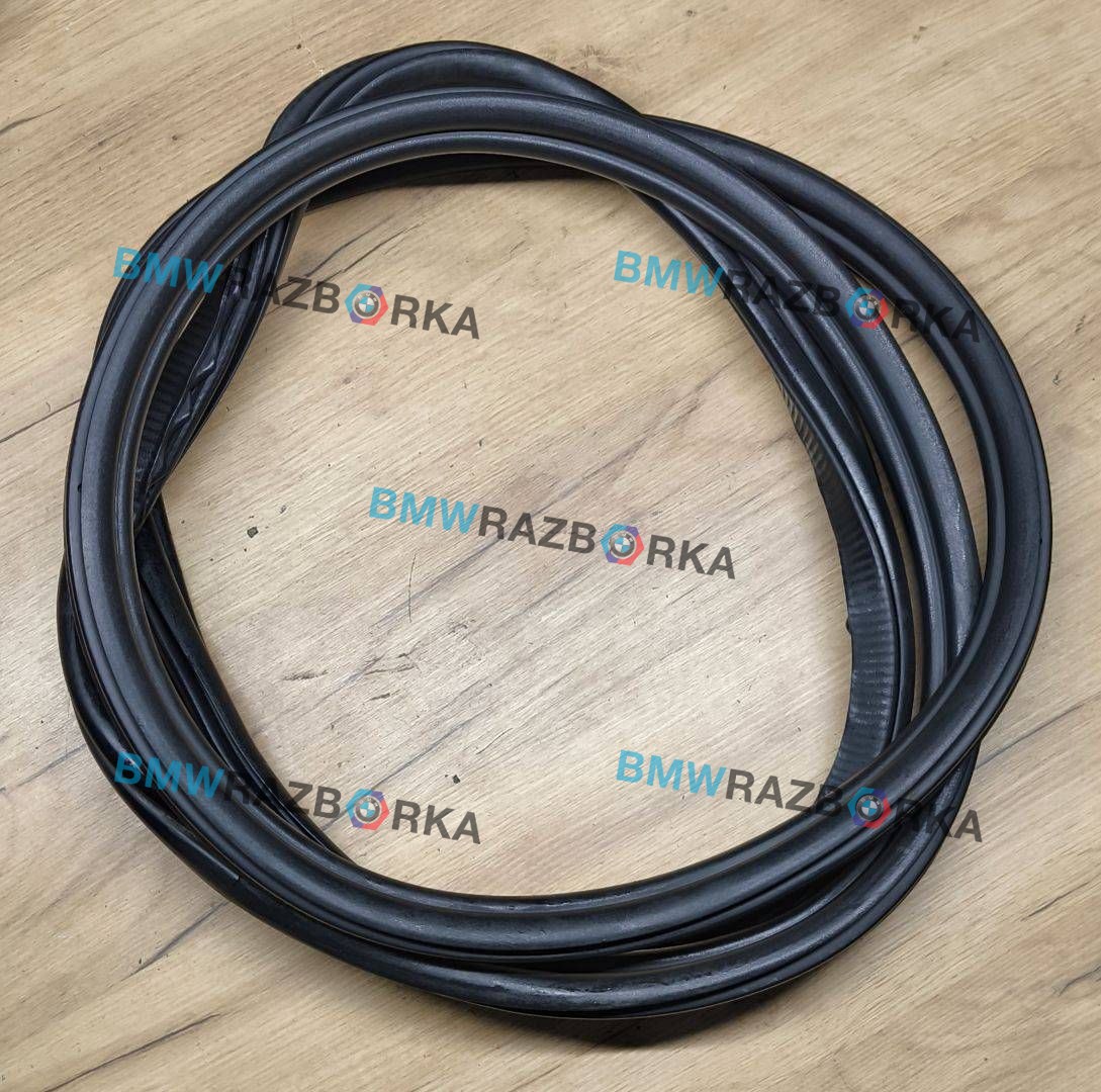 уплотнитель двери BMW X5 G05 2021, 4.0 л., B58B30C, гибрид, АКПП, 475 black-sapphire metallic, внедорожник 5 дв., полный привод, 7428678