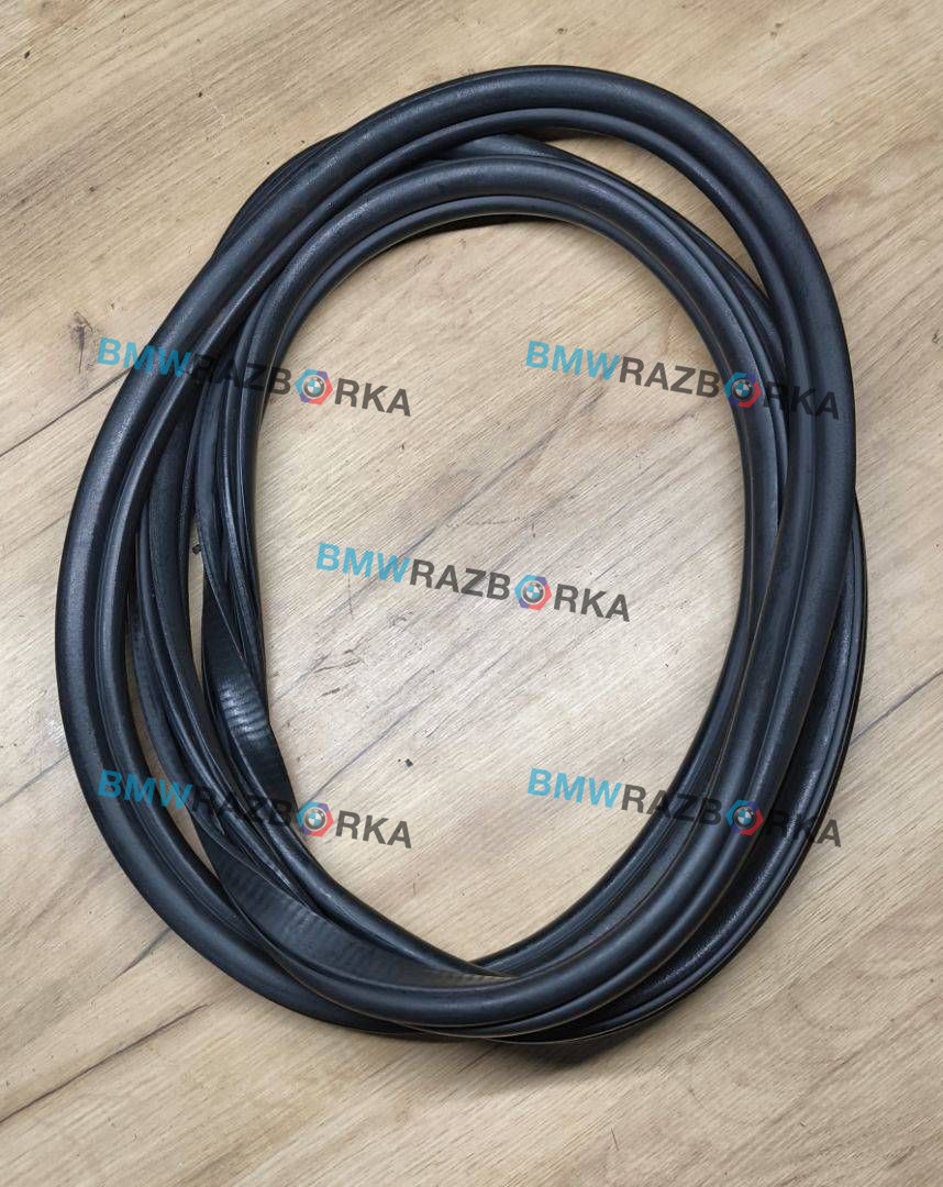 уплотнитель двери BMW X5 G05 2021, 4.0 л., B58B30C, гибрид, АКПП, 475 black-sapphire metallic, внедорожник 5 дв., полный привод, 7428696
