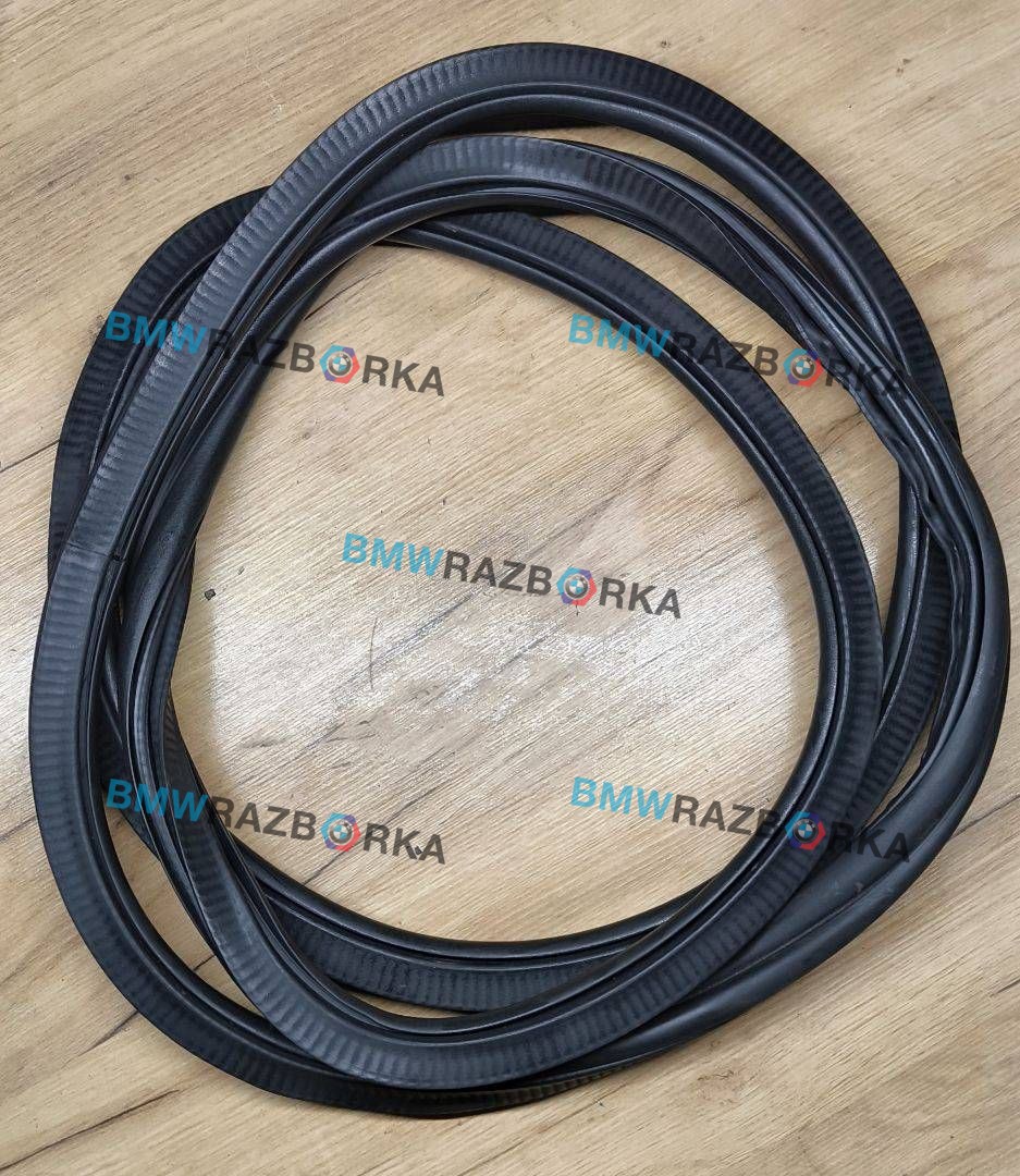 уплотнитель двери BMW X5 G05 2021, 4.0 л., B58B30C, гибрид, АКПП, 475 black-sapphire metallic, внедорожник 5 дв., полный привод, 7428696