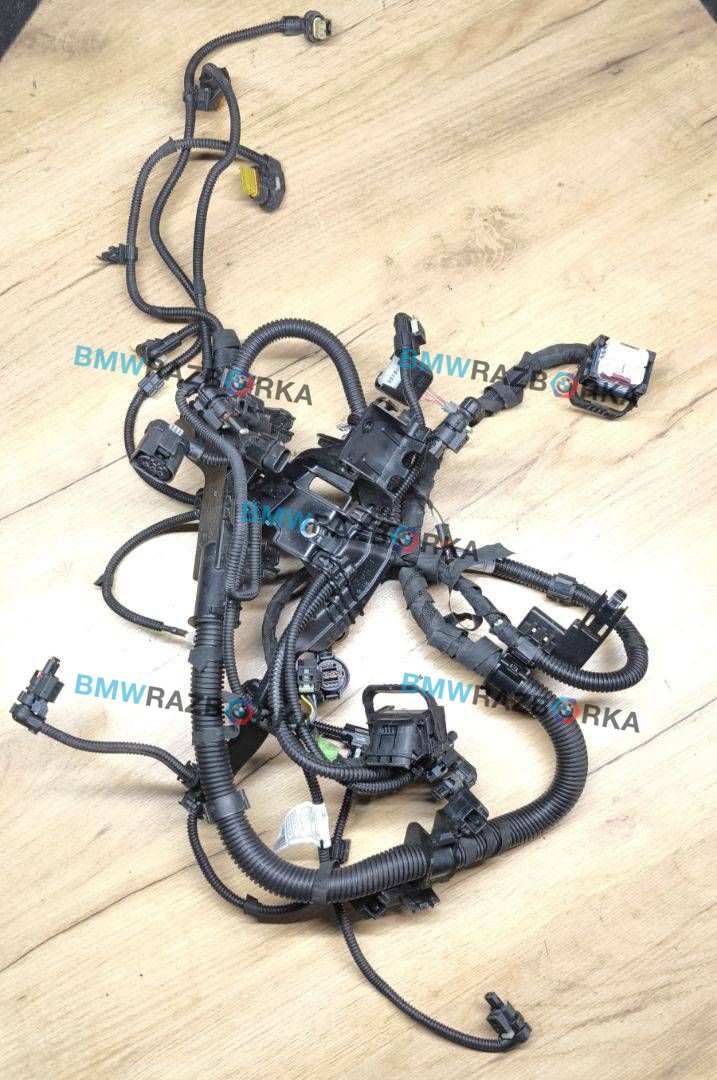проводка двигателя BMW Z4 G29 2020, 2.0 л., B48 B20 B, бензин, АКПП, san francisco rot metallic (c34), родстер, задний привод, 8482378, 12518482378, 8482365, 12518482365
