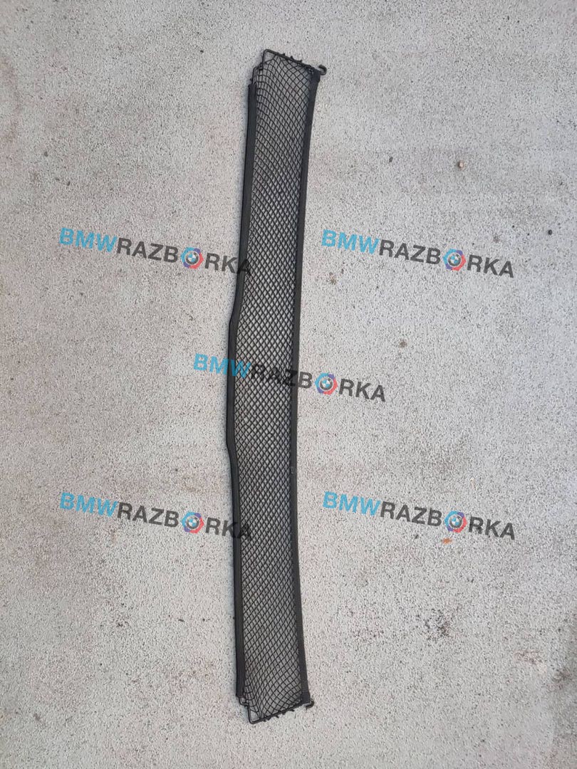 сетка (собачник) BMW Z4 G29 2020, 2.0 л., B48 B20 B, бензин, АКПП, san francisco rot metallic (c34), родстер, задний привод, 51477456385, 7456385