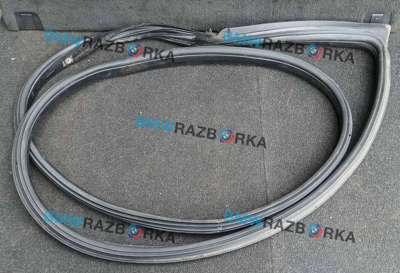 Уплотнитель стекла BMW 6 серия F06/F12/F13 F13 2012, 4.0 л., дизель, a82, купе, задний привод, 7221326