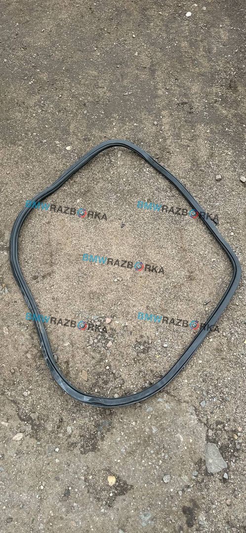 уплотнитель двери BMW M8 F91/92 F93 2020, 4.4 л., S63 B44 B, бензин, АКПП, седан, полный привод, 7435439