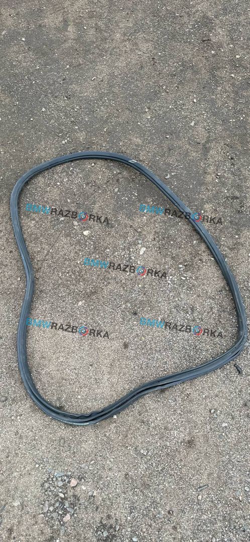 уплотнитель двери BMW M8 F91/92 F93 2020, 4.4 л., S63 B44 B, бензин, АКПП, седан, полный привод, 7435437