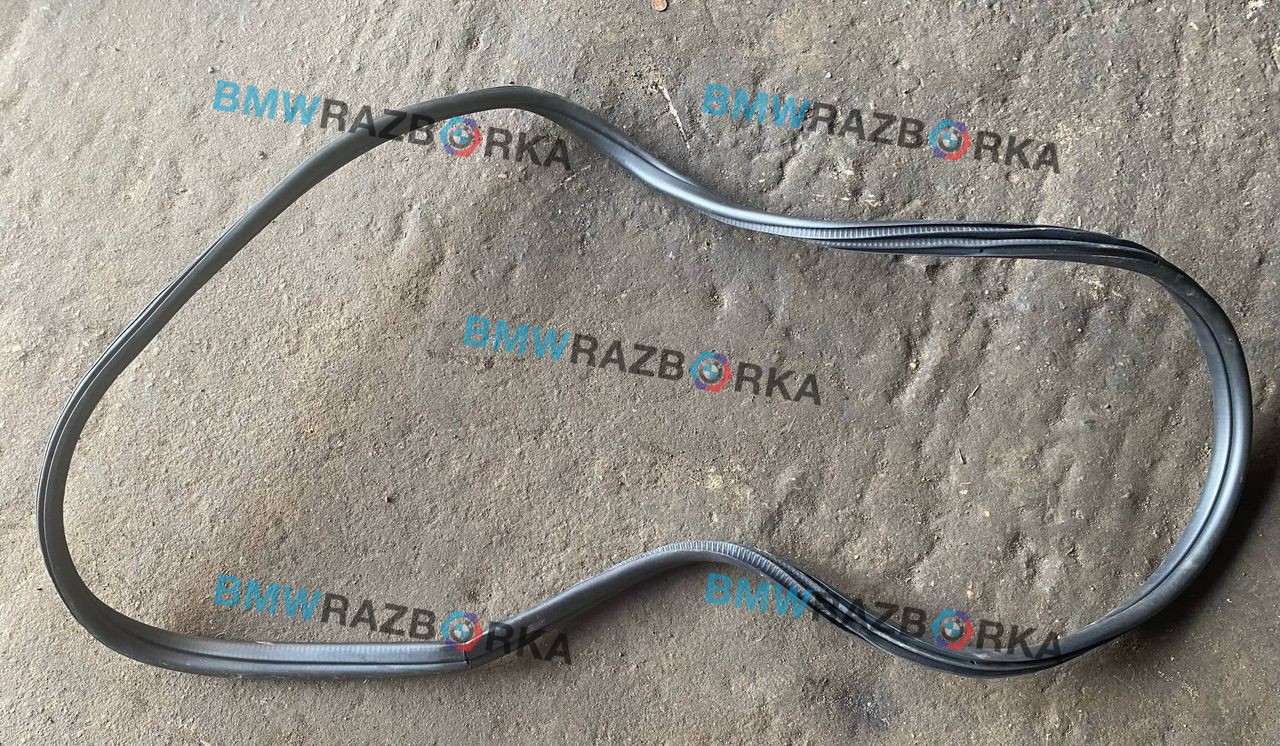 уплотнитель двери BMW X1 U11 2023, 2.0 л., бензин, АКПП, 475, внедорожник 5 дв., полный привод, 51729451508, 9451508