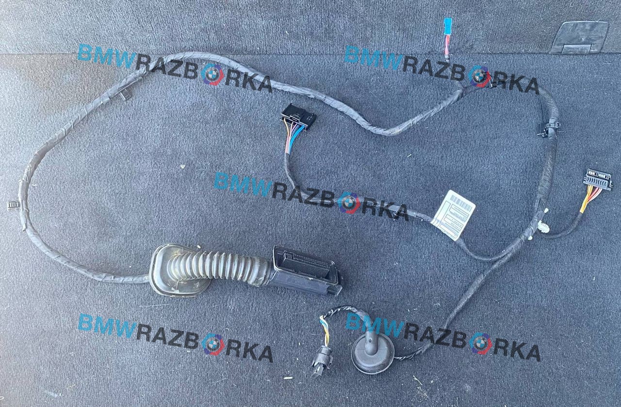 дверная проводка BMW X1 U11 2023, 2.0 л., бензин, АКПП, 475, внедорожник 5 дв., полный привод, 5A52C39