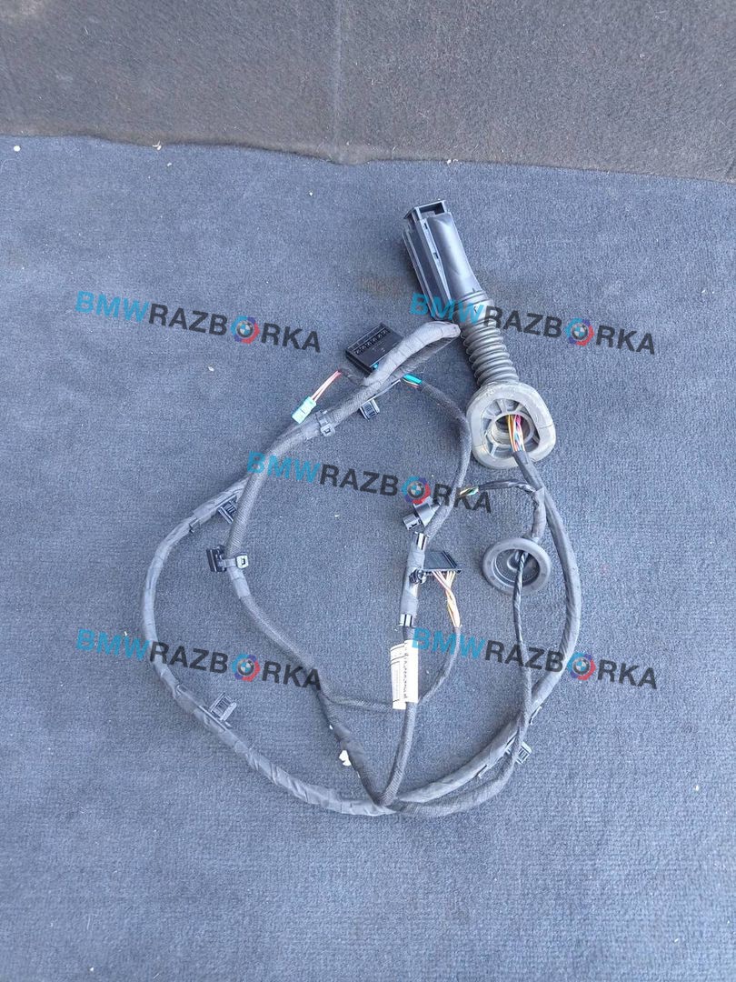 дверная проводка BMW X1 U11 2023, 2.0 л., бензин, АКПП, 475, внедорожник 5 дв., полный привод, 5A52C39