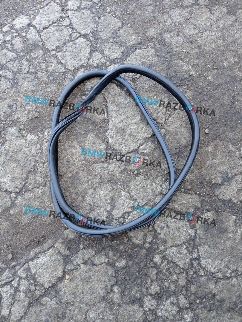 уплотнитель двери BMW X5 F15 2015, 3.0 л., N57 D30 A, дизель, a96, внедорожник 5 дв., полный привод