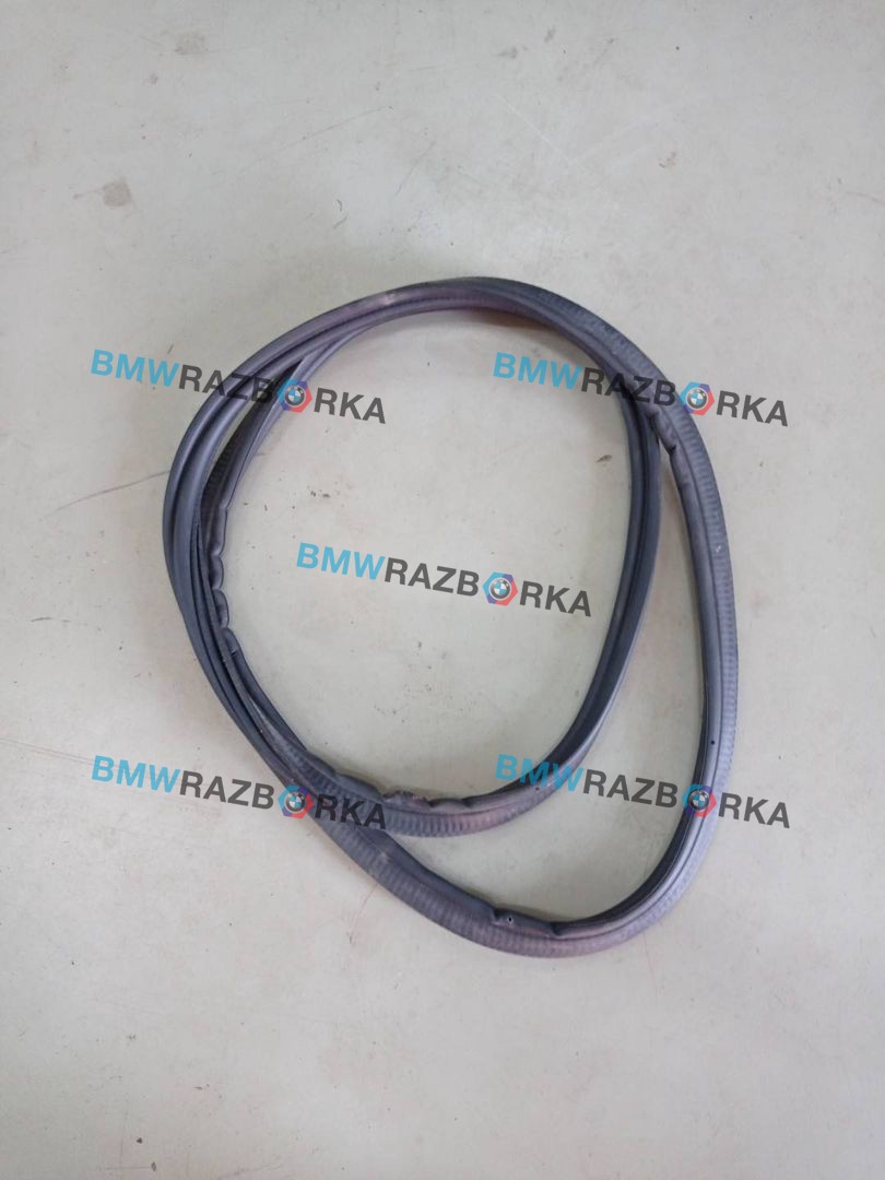 уплотнитель BMW 1 серия F40 2020, 2.0 л., B48A20E, бензин, c3n, полный привод, 7456072