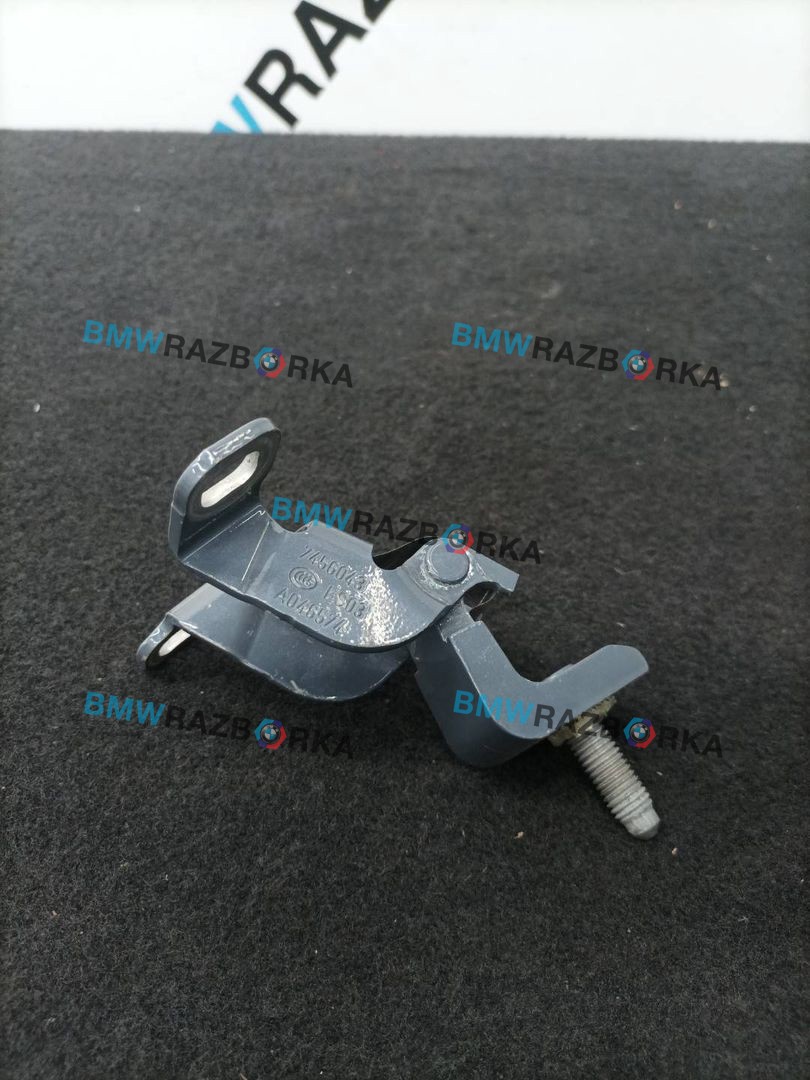 петля крышки багажника BMW 1 серия F40 2020, 2.0 л., B48A20E, бензин, c3n, полный привод, 7456043