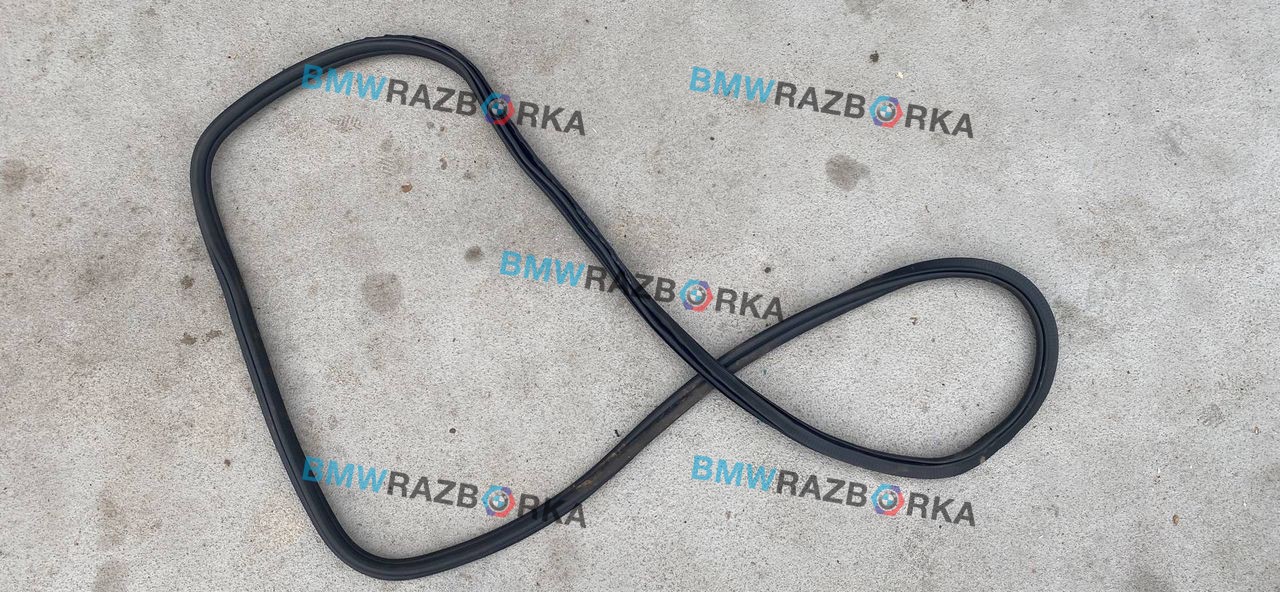 уплотнитель двери BMW X5 G05 2019, 5.0 л., дизель, АКПП, 475, внедорожник 5 дв., полный привод, правый руль, 7428696
