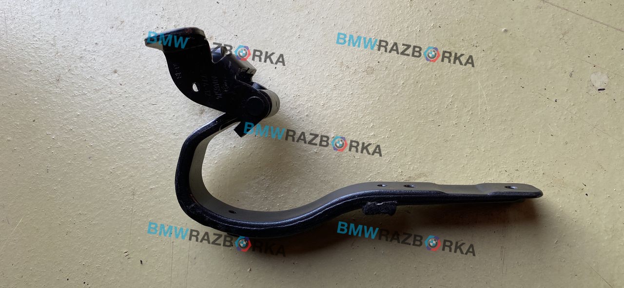 петля крышки багажника BMW i3 L01 [рестайлинг] I01 2019, электро, 7296774, 51247296774