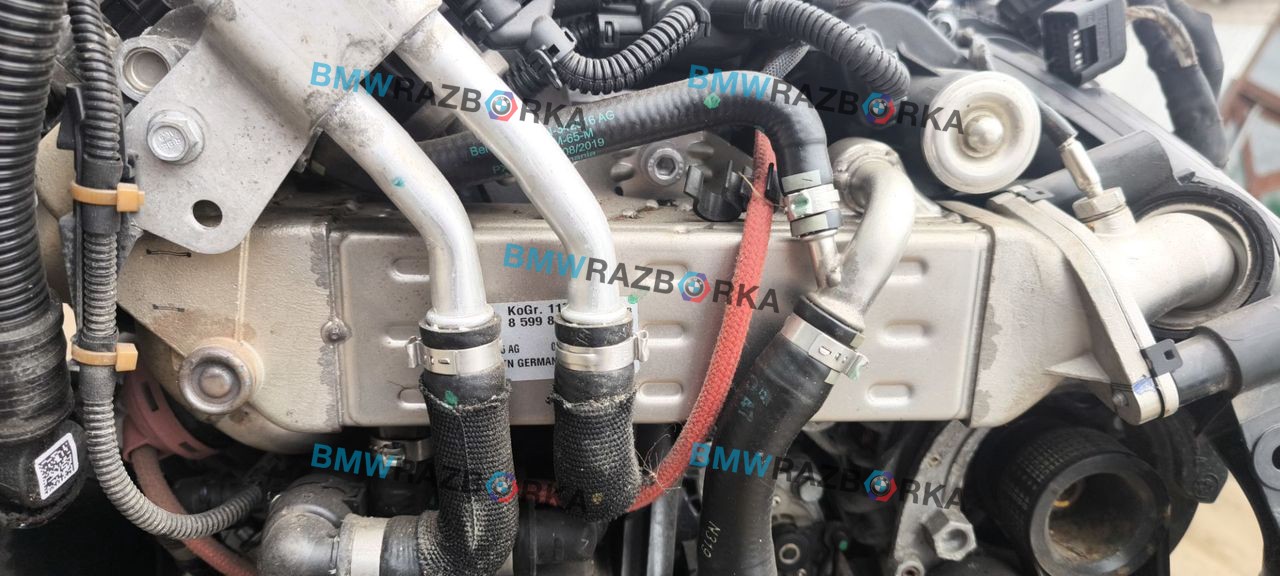 охладитель EGR / Радиатор EGR BMW X6 G06 2020, 3.0 л., B57 D30 A, дизель, АКПП, внедорожник 5 дв., полный привод, 8599832