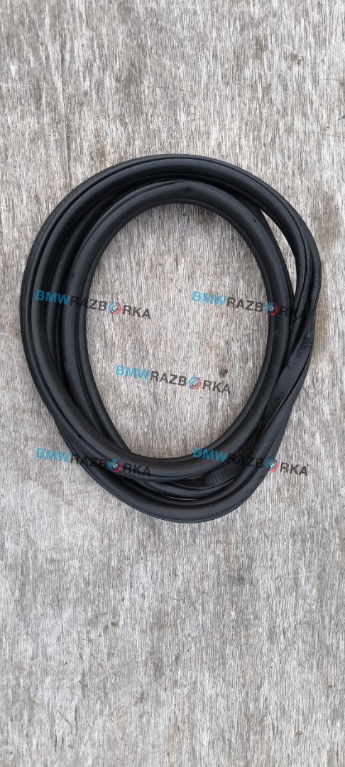 уплотнитель двери BMW X6 G06 2020, 3.0 л., B57 D30 A, дизель, АКПП, внедорожник 5 дв., полный привод, 7437788