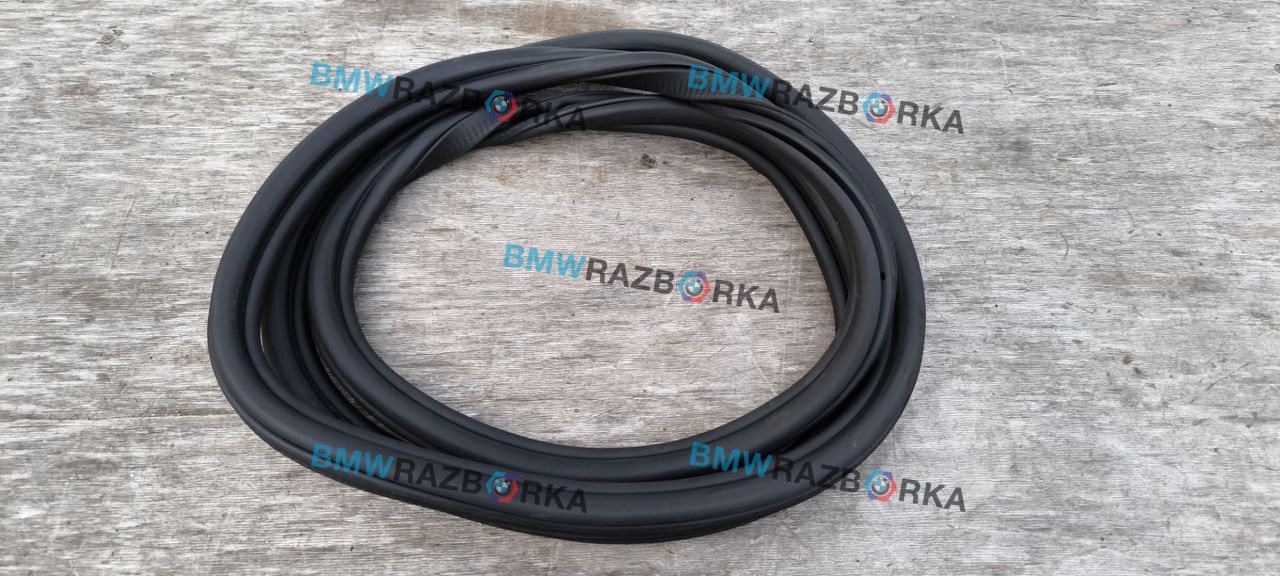 уплотнитель двери BMW X6 G06 2020, 3.0 л., B57 D30 A, дизель, АКПП, внедорожник 5 дв., полный привод, 7437788