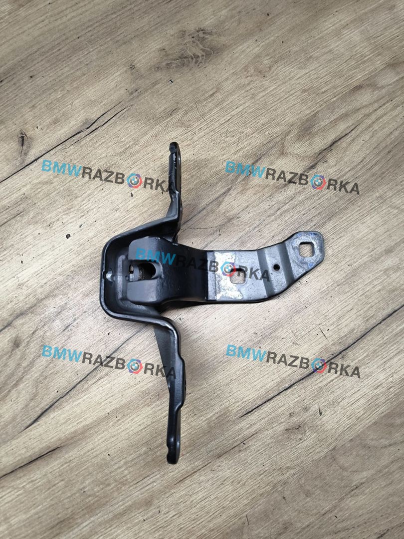 петля крышки багажника BMW 5 серия F07/F10/F11 [рестайлинг] 2013, 3.0 л., N57 D30 A, дизель, АКПП, задний привод, 7200534