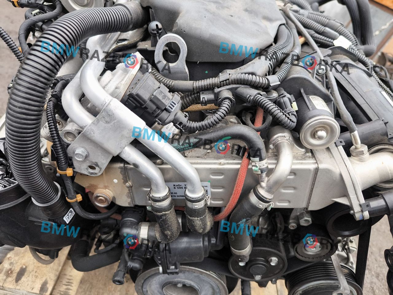 охладитель EGR / Радиатор EGR BMW 8 серия G14/G15 G15 2019, 4.0 л., дизель, купе, полный привод, 8513132, 8599832