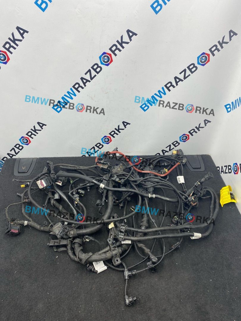 проводка двигателя BMW 3 серия F30/F31 [рестайлинг] F30 2018, 2.0 л., гибрид, АКПП, седан, задний привод, 8636067, 8636065, 8669731