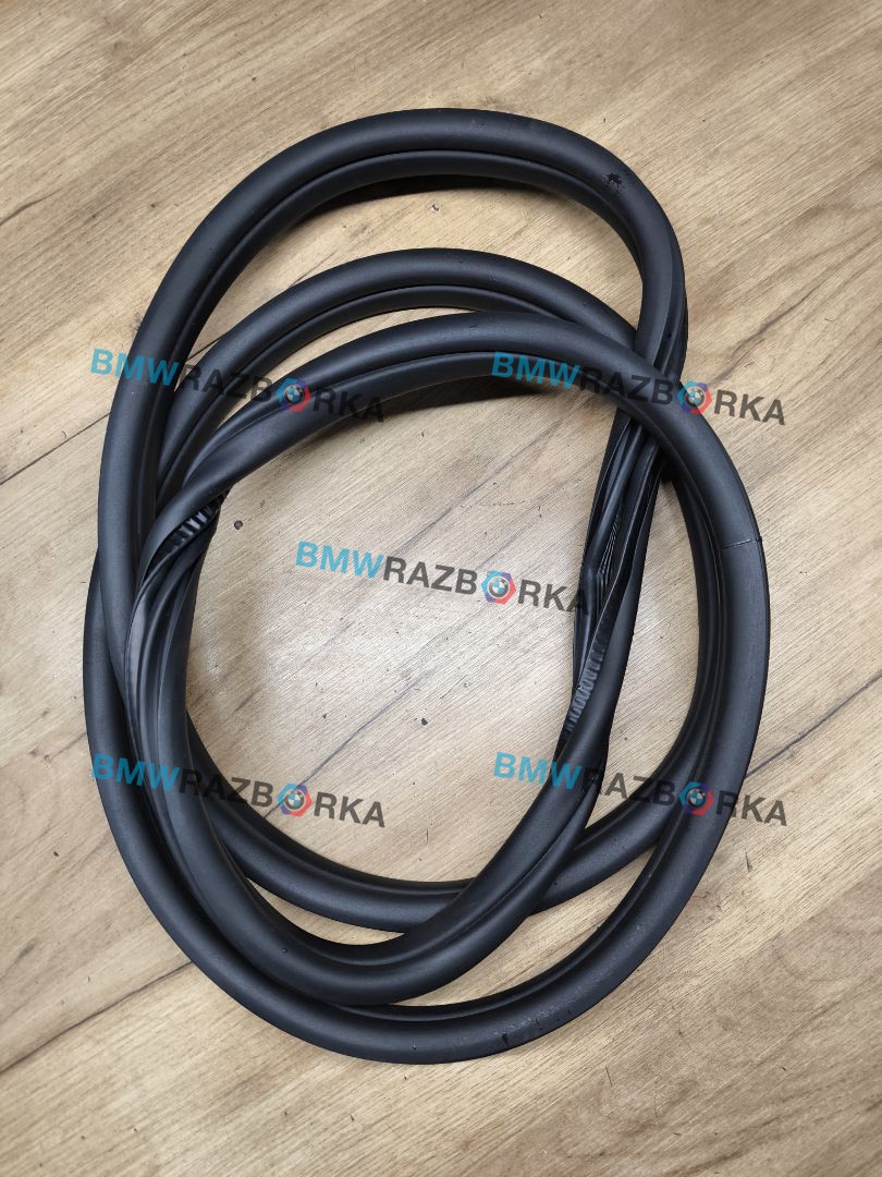 уплотнитель двери BMW 1 серия F40 2023, 1.5 л., B37 C15 A, дизель, skyscraper grau metallic (c4w), хетчбэк 5 дв., передний привод, 7452335
