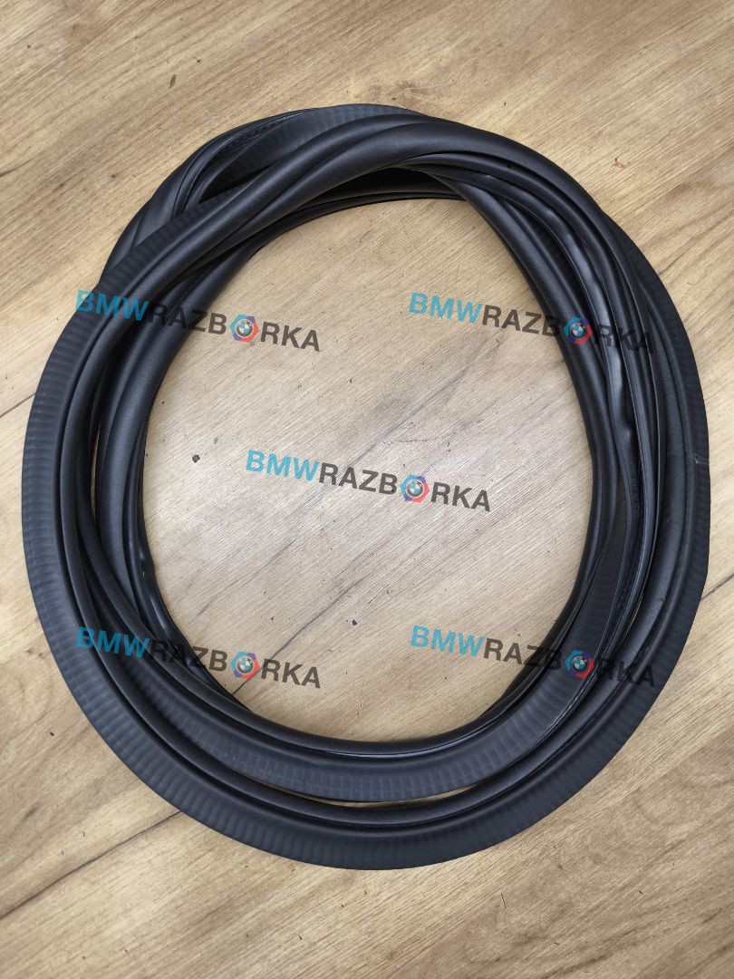 уплотнитель двери BMW X5 G05 [рестайлинг] G05 2024, 3.0 л., B57 D30 B, дизель, 416, полный привод, 7428696