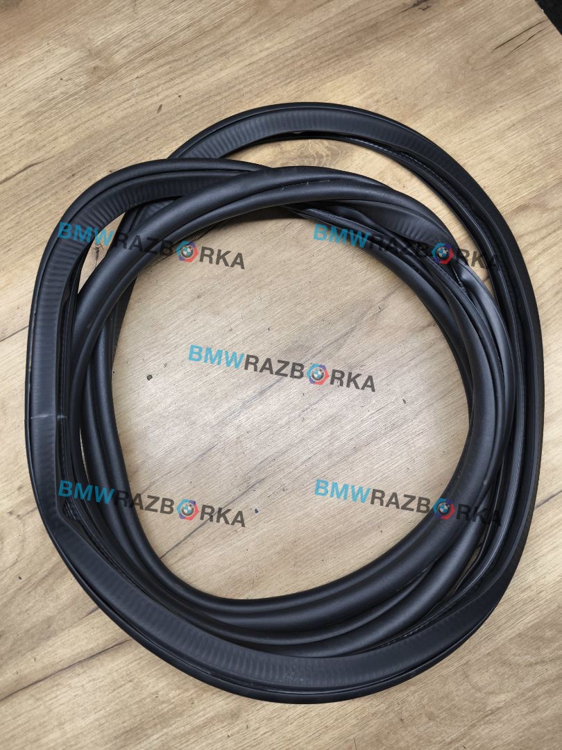 уплотнитель двери BMW X5 G05 [рестайлинг] G05 2024, 3.0 л., B57 D30 B, дизель, 416, полный привод, 7428678