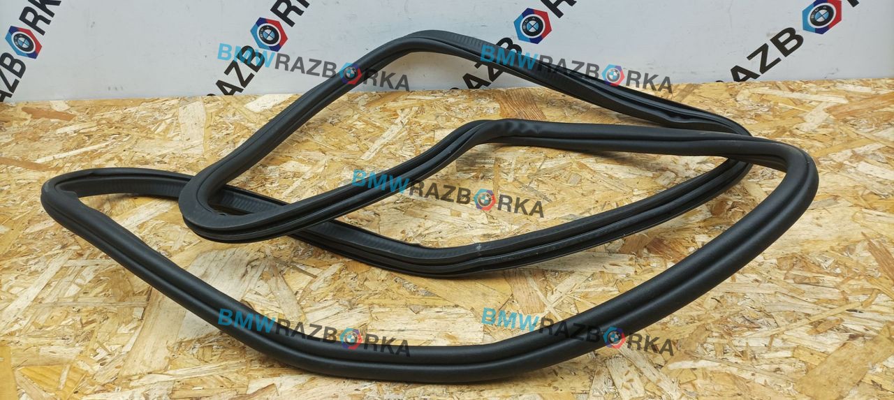 уплотнитель двери BMW X5 G05 [рестайлинг] G05 2024, 3.0 л., B57 D30 B, дизель, АКПП, 475, внедорожник 5 дв., полный привод, правый руль, 7428696