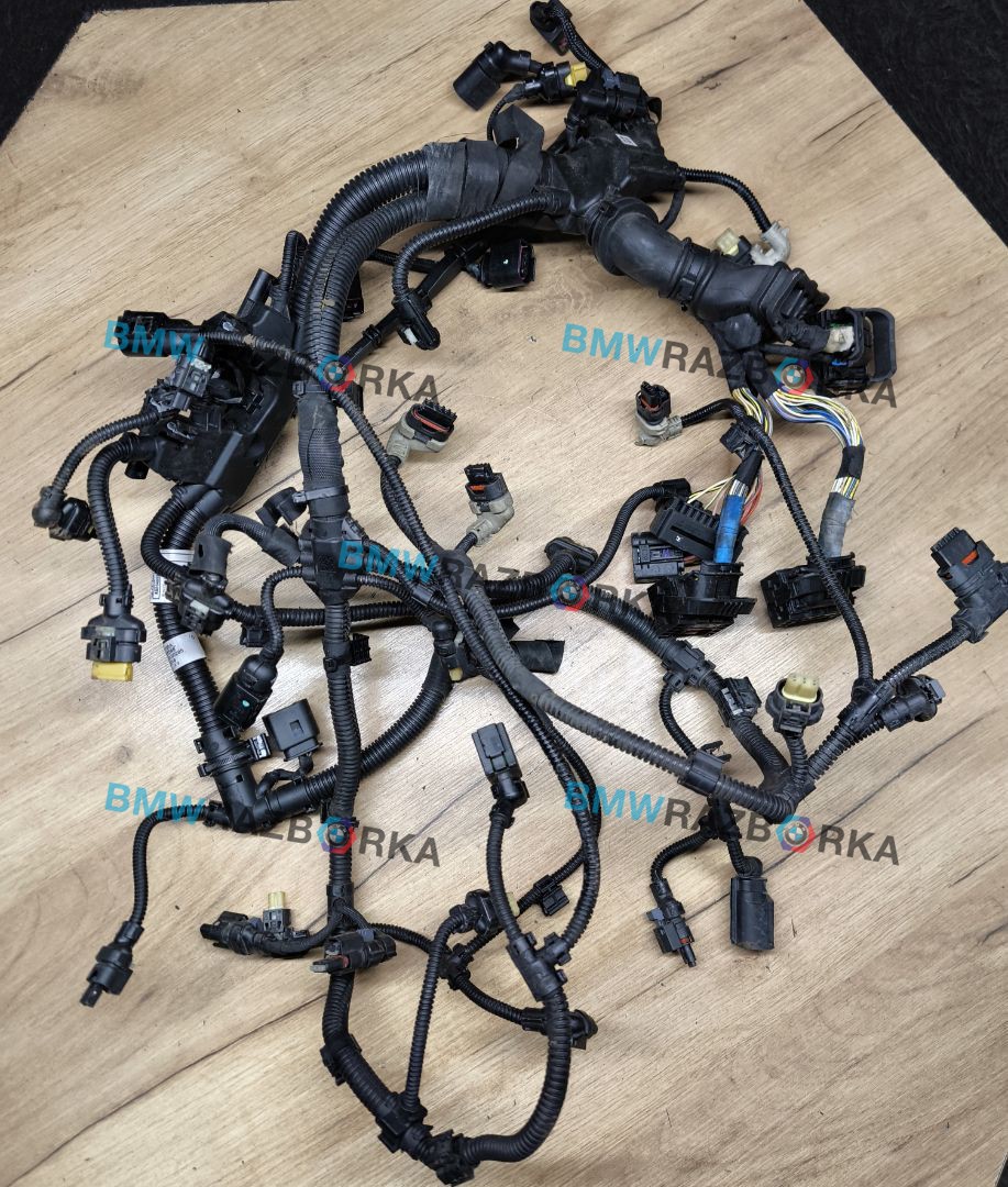 проводка двигателя BMW X2 F39 2018, 2.0 л., дизель, МКПП, внедорожник 5 дв., передний привод, 7390317, 8581551