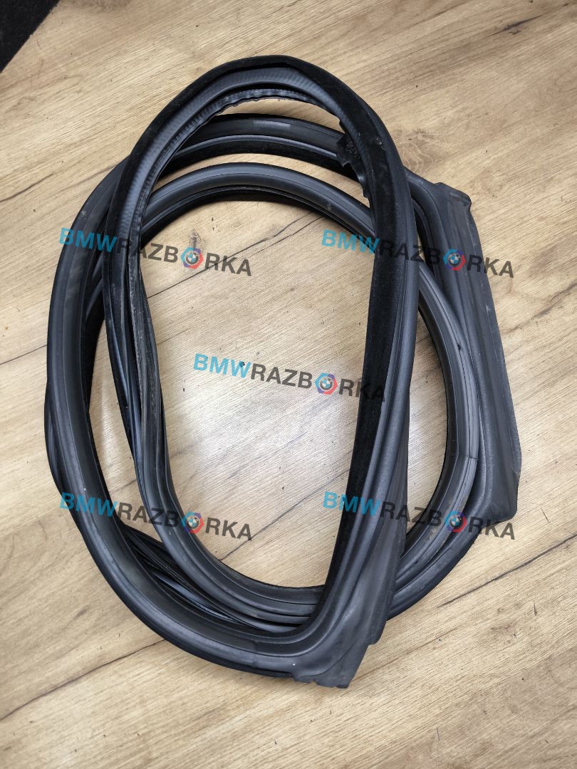уплотнитель двери BMW 5 серия F07/F10/F11 [рестайлинг] 2013, 3.0 л., N57 D30 A, дизель, АКПП, задний привод, 7196389