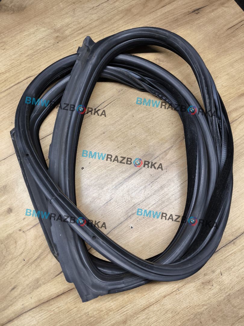 уплотнитель двери BMW 5 серия F07/F10/F11 [рестайлинг] 2013, 3.0 л., N57 D30 A, дизель, АКПП, задний привод, 7196390