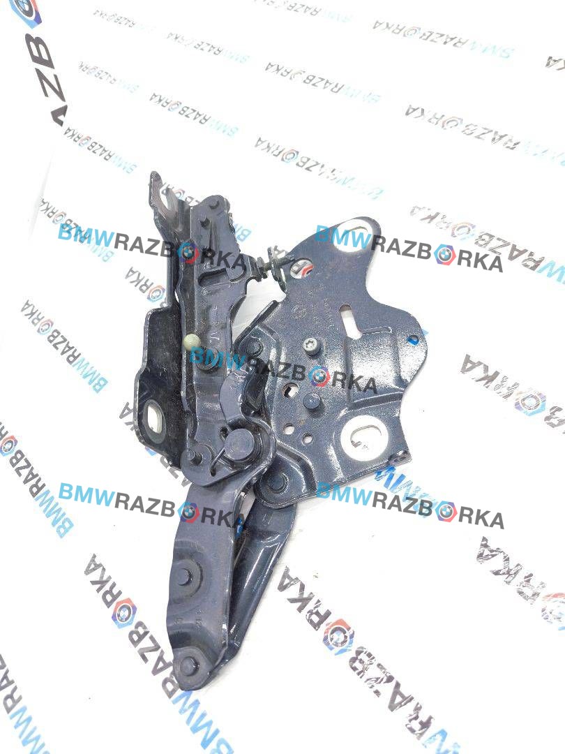 петля капота левая BMW X6 G06 2020, 3.0 л., B57 D30 B, дизель, АКПП, с27, внедорожник 5 дв., полный привод, 7418201