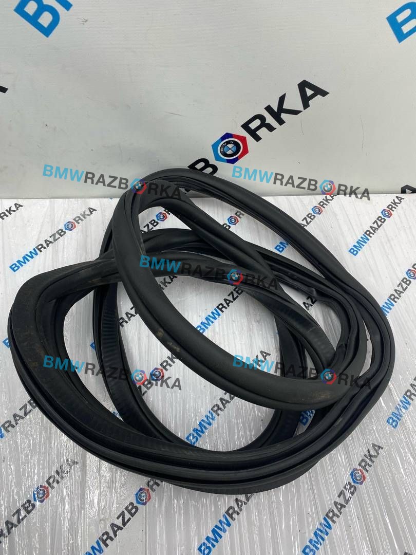 уплотнитель двери BMW X5 G05 [рестайлинг] G05 2025, 3.0 л., B57 D30 B, дизель, АКПП, a96, внедорожник 5 дв., полный привод, 7428678